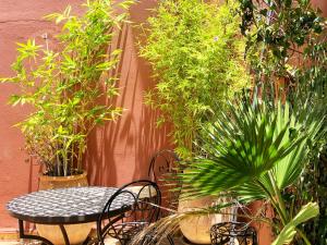 Zahrada ubytování Riad Al Mamoune