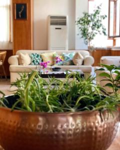 a living room with a couch and a table at Kekova Hotel in Kaş