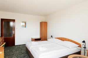 Postel nebo postele na pokoji v ubytování Hotel Slezan