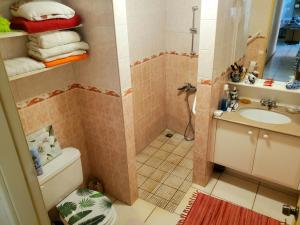 e bagno con doccia, servizi igienici e lavandino. di Private Room in our Home Stay by Kohutahia Lodge, 7 min by car to airport and town a Faaa