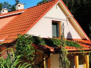 a house with an orange roof at Ranczo w Dolinie Karpia - blisko "Energylandii" Zator in Spytkowice