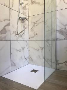 a bathroom with a shower with marble walls at Calmette in Cannes