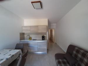 Kuchyň nebo kuchyňský kout v ubytování Apartments EDO