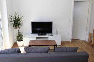 TV a/nebo společenská místnost v ubytování Ferienwohnung Zum Hohlenstein