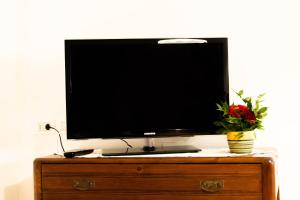 un televisor en la parte superior de un tocador con una flor en Tal Borc, en San Vito al Torre