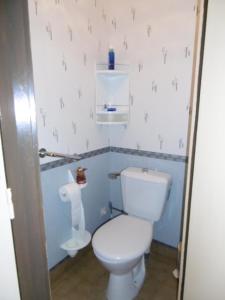 a bathroom with a white toilet in a room at La maison de Valette in Saint-Julien-sur-Cher