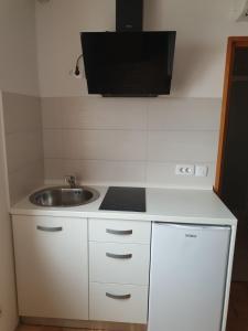 Kuchyň nebo kuchyňský kout v ubytování Apartments and rooms Novigrad 1624