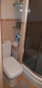 a small bathroom with a toilet and a shower at Apartament w Oliwie in Gdańsk +19 photos