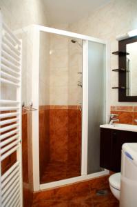 een badkamer met een douche, een toilet en een wastafel bij Apartment Gašparac - 30 meters from the beach in Ika