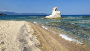 a rock in the water next to a beach at Villa Evgenia(Leonidas) in Ierissos