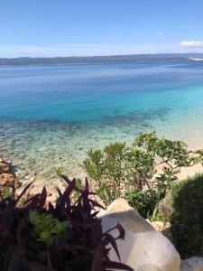 Galeriebild der Unterkunft Apartmani Ivan in Pisak + 35 Fotos