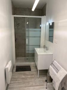 a bathroom with a shower and a white sink at Appartement de l’abbaye in Saint-Astier