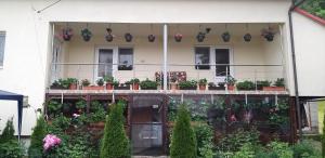 un bâtiment avec des plantes en pot sur un balcon dans l'établissement Casa Cosmina Arieseni, à Arieşeni
