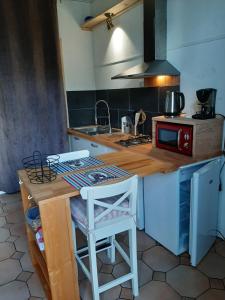 una cucina con piano di lavoro e piano cottura forno superiore di appartements d'hôtes La Foulonnerie a Mios