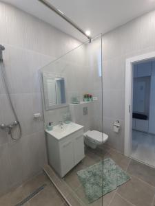 a bathroom with a shower and a sink and a toilet at Apartament Lux Eika in Mamaia Sat/Năvodari +16 photos