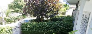 Residence Margherita في ريميني: حاجز أبيض فيه شجرة أمام المنزل