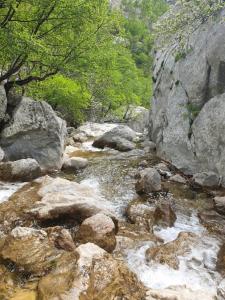 Príroda v okolí apartmánu