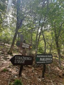 Príroda v okolí apartmánu