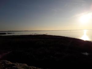 Gallery image of CB HOME in Audenge