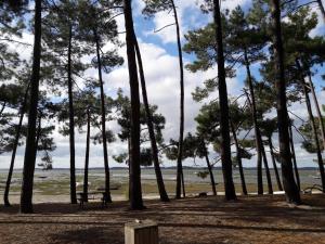 Gallery image of CB HOME in Audenge +20 photos