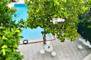 an overhead view of a pool with chairs and a tree at Nohana Hotel in Mui Ne