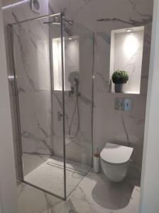 Kúpeľňa v ubytovaní Masuria Apartaments Ełk Nadjeziorna + 15 fotografií