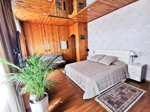 1 dormitorio con 1 cama y una maceta en Kambarių nuoma ant marių kranto en Juodkrantė