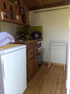 eine kleine Küche mit einer Theke und einer Mikrowelle in der Unterkunft Roulotte Marcel Chaix Accueil in Étoile-sur-Rhône