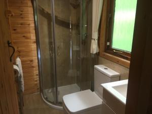 un bagno con doccia, WC e lavandino di Chalet 2 a Tyndrum