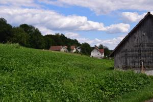 einen grasbewachsenen Hügel mit Häusern und einer Scheune in der Unterkunft Ferienhaus Jagafranzl in Gnas