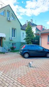 un gato sentado en el suelo junto a un coche en Penzión Tiberia en Trenčín