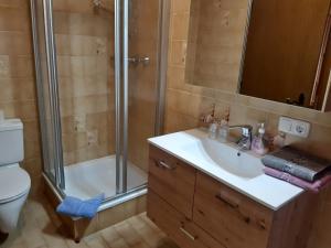 Kúpeľňa v ubytovaní Appartement Haus Gatterer