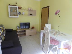 TV a/nebo společenská místnost v ubytování Apartments ORSIC