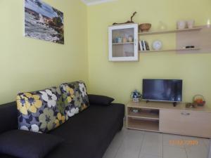 TV a/nebo společenská místnost v ubytování Apartments ORSIC