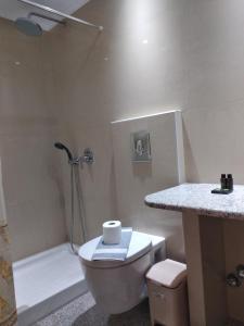 a bathroom with a toilet and a shower and a sink at Kalias Hotel in Vasiliki