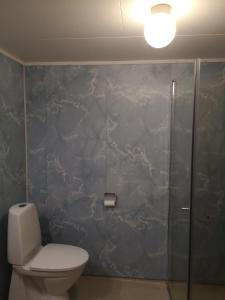 a bathroom with a toilet and a glass shower at Kvamsdal Pensjonat 4 in Eidfjord +16 photos