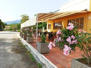 a row of flowers in front of a building at Hotel Santa Maria Del Bagno in Pesche