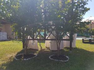 dos árboles sentados en el césped en un patio en Appartamenti Ca'Melia, en Sarzana