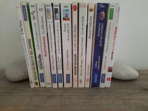 a group of books lined up on a table at La Cabane de Troyes - Chambre d'hôtes in Troyes +17 photos