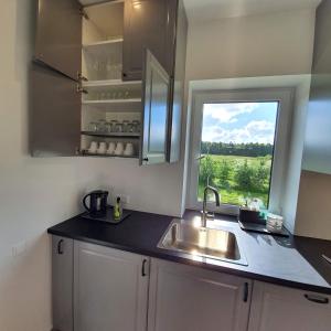 a kitchen with a sink and a window at Villa Monciske in Palanga +19 photos