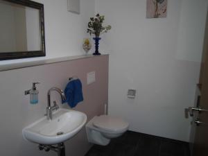 W łazience znajduje się umywalka, toaleta i lustro. w obiekcie Ferienwohnung Maari w mieście Hittisau