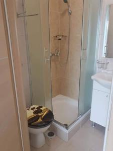 W łazience znajduje się prysznic, toaleta i umywalka. w obiekcie Sabljak w mieście Kornić
