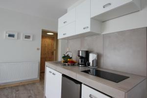 Kuchnia lub aneks kuchenny w obiekcie ApartDębki