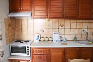 Kuchyň nebo kuchyňský kout v ubytování Meteoron Guesthouse