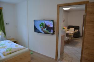 Televízia a/alebo spoločenská miestnosť v ubytovaní Ferienwohnung Vonwald