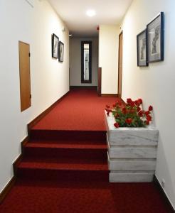 Fotografie z fotogalerie ubytování Hotel Catedral ve Funchalu