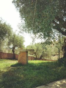 una panchina di pietra seduta nell'erba sotto un albero di Casa de Pimenteis a Vimioso