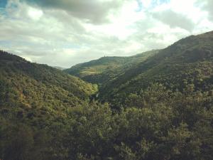 an aerial view of a mountain valley with trees at Casa de Pimenteis in Vimioso