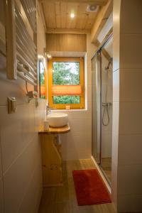 a bathroom with a sink and a shower and a window at Kirowy Domek in Kościelisko