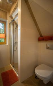 a bathroom with a toilet and a shower at Kirowy Domek in Kościelisko